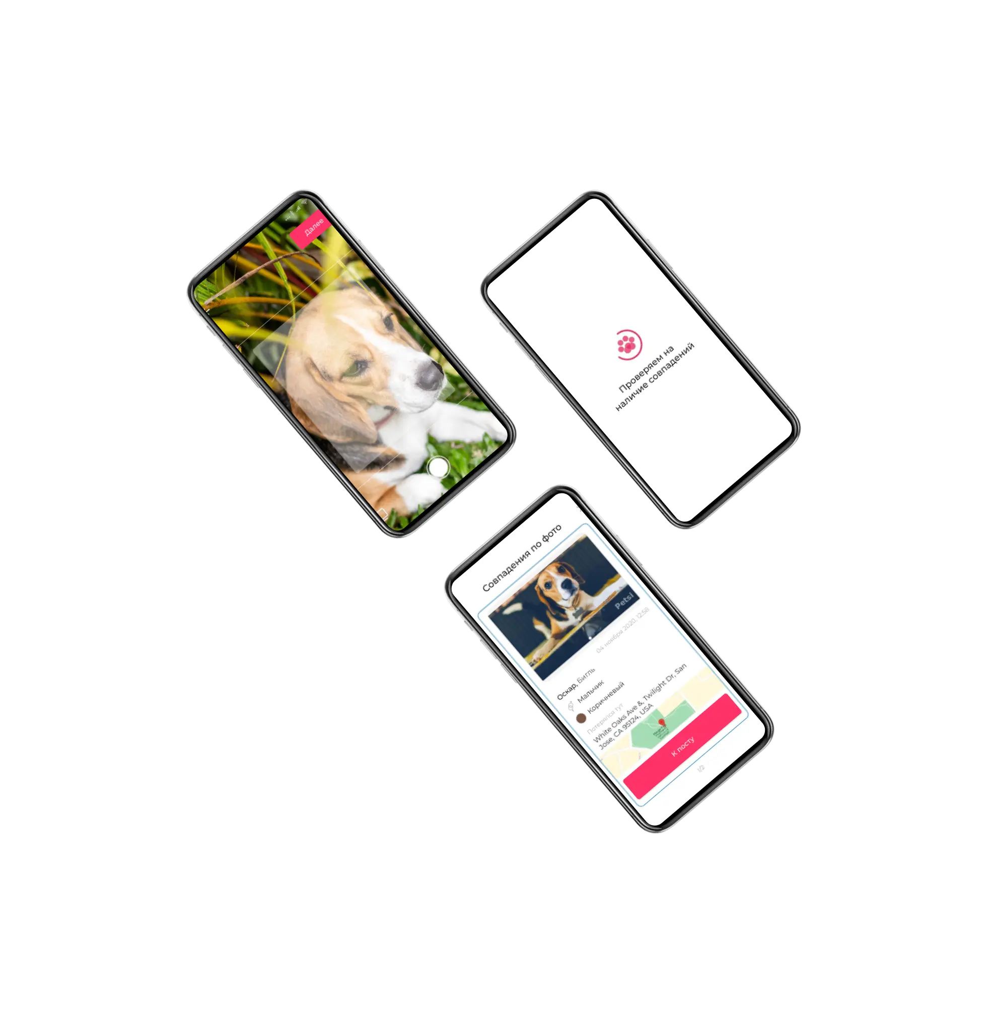 Petsi - facial recognition app for lost pets